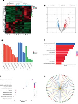 Integrative Analyses of Circulating mRNA and lncRNA Expression Profile in Plasma of Lung Cancer Patients